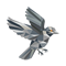 Sparrow